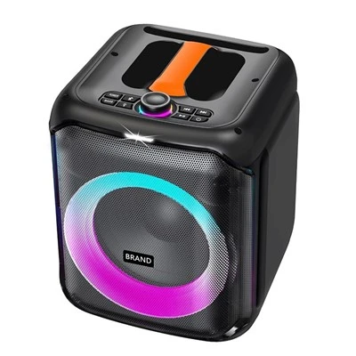 Dual Woofer Wireless Outdoor Audio System